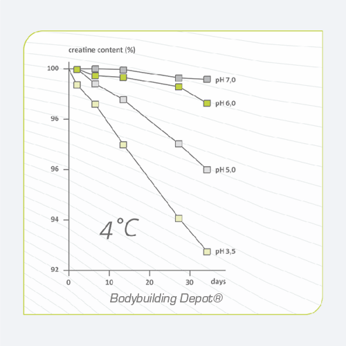 Bild zeigt Infografik Creatin Creatinin Stabilität
