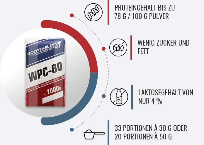 Infografik mit Eigenschaften des Whey Konzentrats