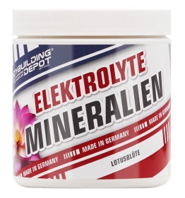 Elektrolyte Mineralien Pulver